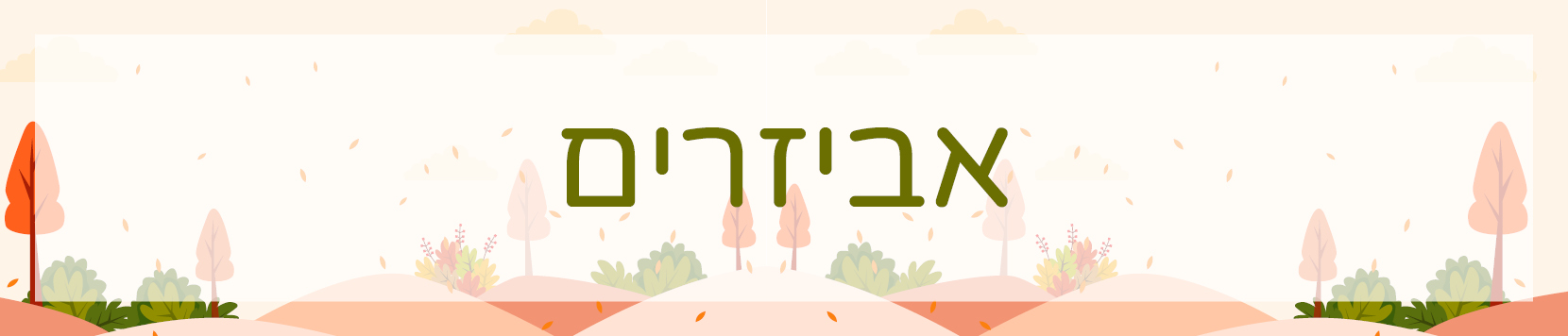 אביזרים בייבי בנות