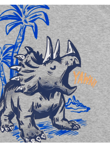 פיג'מה 4 חלקים דינוזאורים