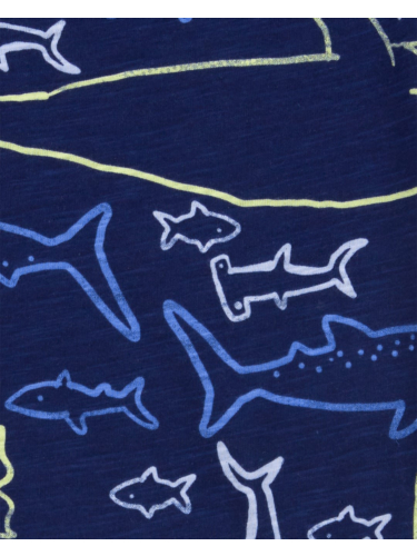 זוג בגדי גוף ומכנס כרישים