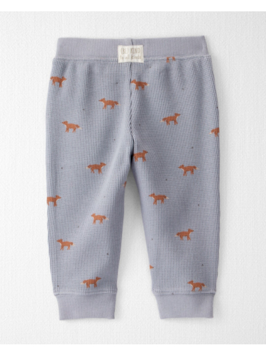 חליפת 2 חלקים וואפל שועל