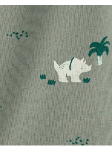 זוג בגדי גוף ומכנס דינוזאורים