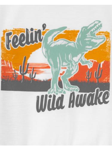 פיג'מת 3 חלקים דינוזאור