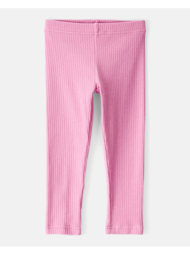 טייץ ריב סגול