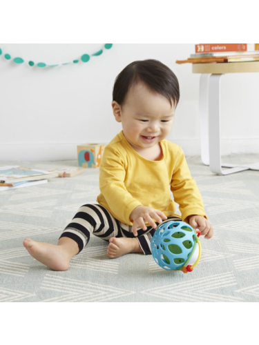 כדור פעילות - קיפוד