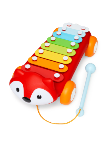 קסילופון שועל