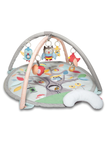 אוניברסיטה לתינוק - צמרת העץ