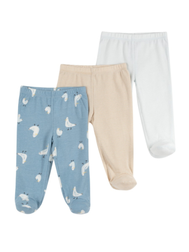 שלישיית רגליות ציפורים