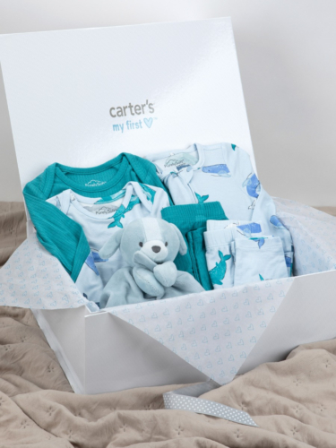 מארז מתנה כריש בים