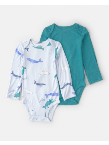 מארז מתנה כריש בים