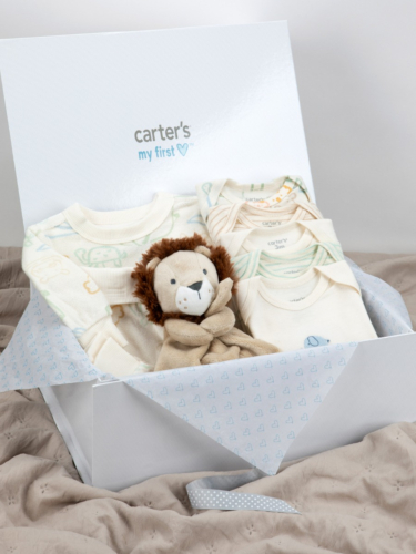 מארז מתנה טיול בספארי