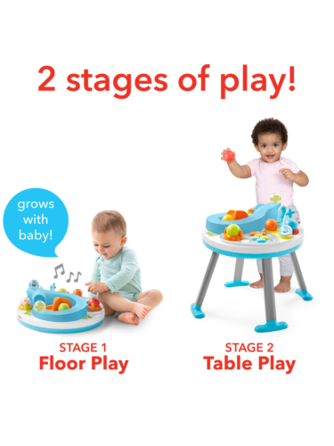 שולחן פעילות