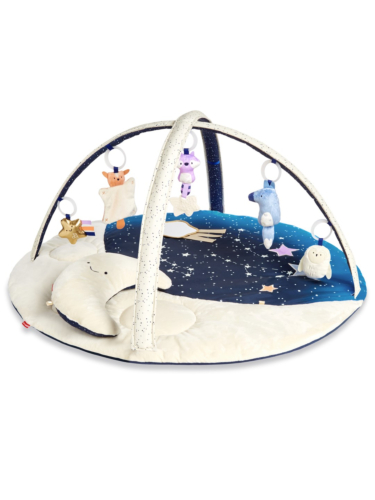 אוניברסיטת ירח כוכבים