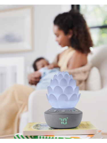 קקטוס מרגיע בכי