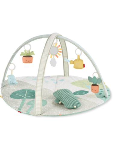 אוניברסיטה לתינוק גן הקקטוסים