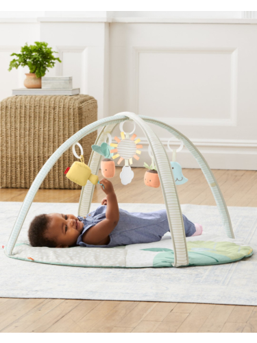 אוניברסיטה לתינוק גן הקקטוסים