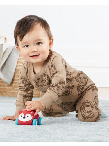 מכונית שועל