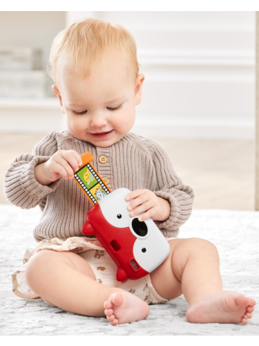 משחק מצלמת שועל