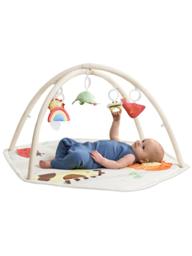 אוניברסיטת משושה חיות