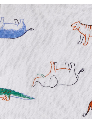 קרדיגן פוטר מודפס דינוזאורים