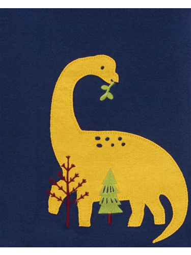 זוג פיג'מות ארוכות דינוזאורים