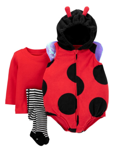 תחפושת חיפושית