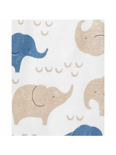 רביעיית בגדי גוף פילונים