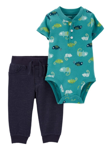 סט 2 חלקים זיקיות