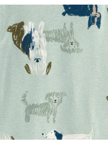 רביעיית בגדי גוף אריות