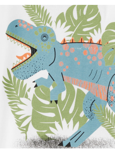 זוג פיג'מות ארוכות דינוזאורים