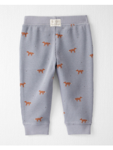 חליפת 2 חלקים וואפל שועל