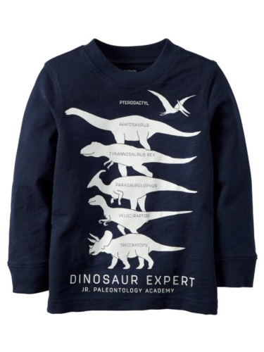 חולצה דפוס דינוזאורים 6-24M