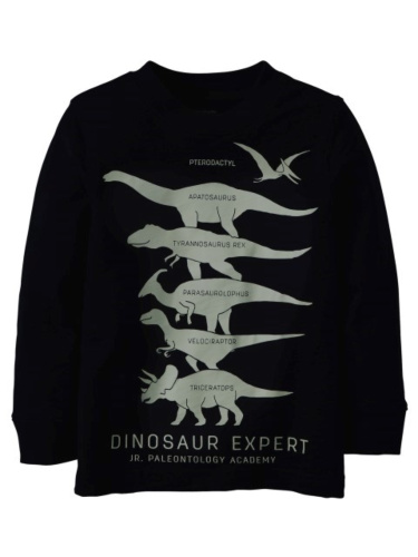 חולצה דפוס דינוזאורים 6-24M