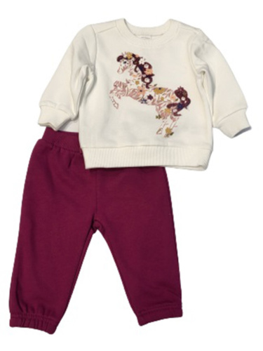 חליפת פוטר סוס פרחים