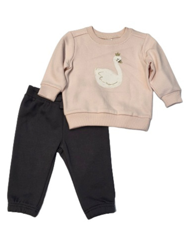 חליפת פוטר ברבור