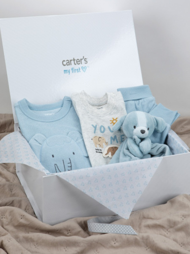 מארז מתנה טיול על פיל