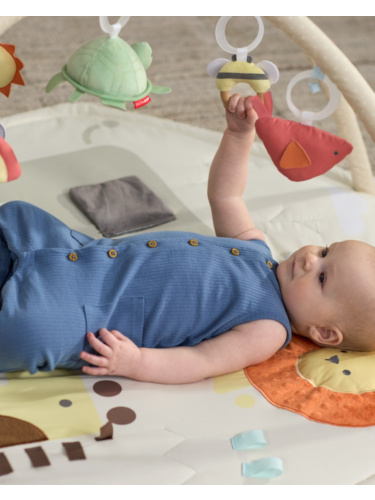 אוניברסיטת משושה חיות