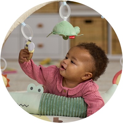 אוניברסיטאות